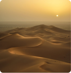 Premium Desert Safari